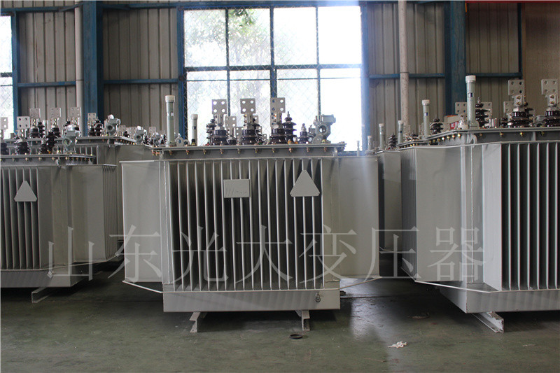 永善S20-500KVA/10KV